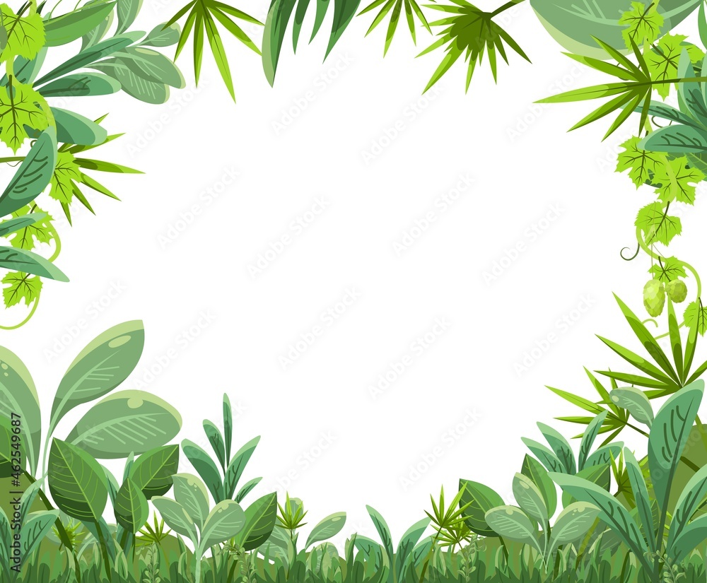 Fototapeta premium Jungle thickets frame. Green tropical trees, herbs and shrubs. Flat cartoon style. Green exotic landscape. Isolated on white background. Vector.