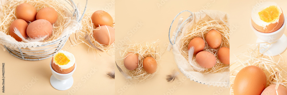 Collage food of Chicken brown fresh raw eggs. Ingredients for cooking. Collage food of Chicken brown fresh raw eggs. Ingredients for cooking.