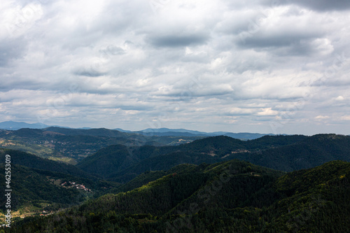 View to mountain and forest with cloudy sky © rninov