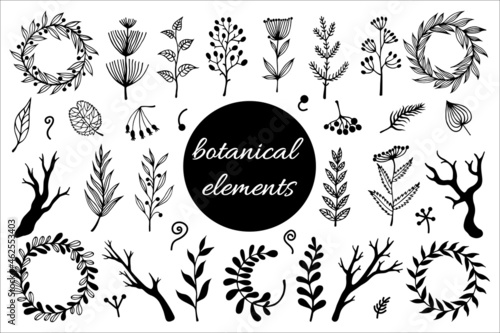 Field herbs, branches, wreaths vector set. Hand-drawn illustration isolated on white background. Plants with berries, flowers with inflorescences, leaves. Silhouettes of dry twigs. Monochrome.