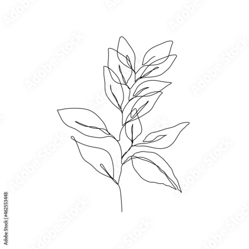 Botanical Line Art Drawing of Simple Leaves Branch. Minimal Abstract Floral Modern Art Illustration. Minimal Botanical Flower One Line Drawing. Vector EPS 10 © Наталья Дьячкова