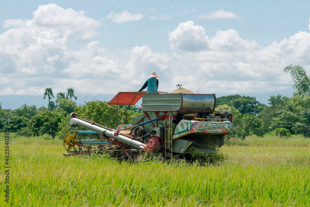 Fototapeta premium combine harvester