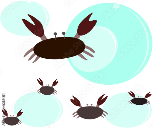 crab sea crab aquatic animal amphibians vector illustration © jeeraporn