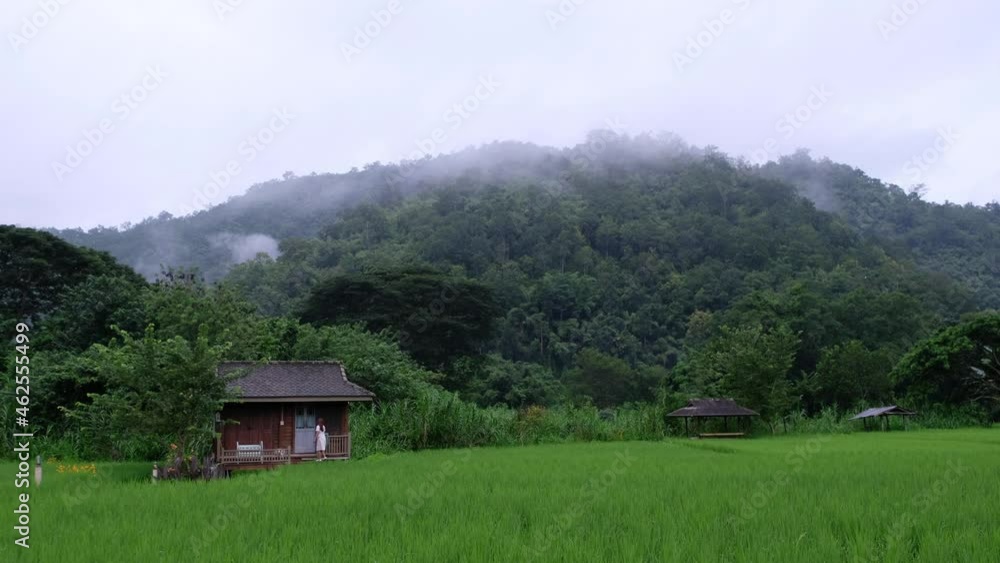 A woman walking into a house in paddy field A woman walking into a house in paddy field