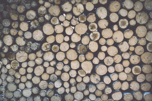 Stack of tree trunks. Texture background