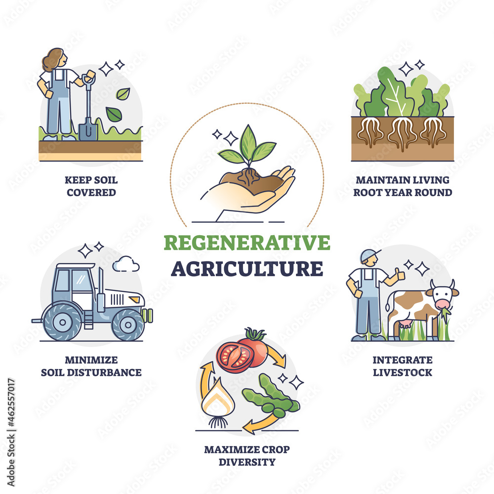 Regenerative agriculture method for soil health and vitality outline diagram. Labeled educational farming principles to rehabilitate or improve topsoil layer and crop biodiversity vector illustration. - obrazy, fototapety, plakaty 