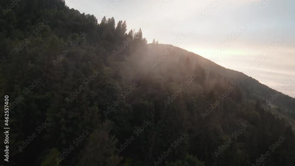 Mystical mountain landscape. Flying over the mountains in the fog, among the huge firs. Sunset light streaming through the mist. Ukraine, Carpathian Mountains Mystical mountain landscape. Flying over the mountains in the fog, among the huge firs. Sunset light streaming through the mist. Ukraine, Carpathian Mountains