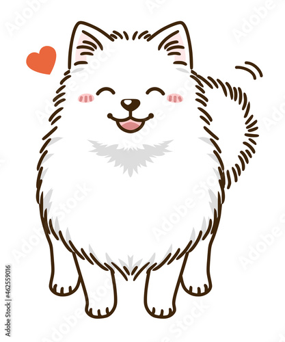 なつくポメラニアン（白）