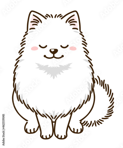 おじぎするポメラニアン（白）