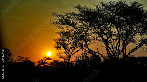 African Sunset