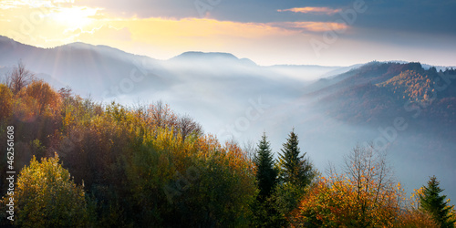 autumnal scenery with fog in the valley at sunrise. mountain landscape in morning light. trees in colorful foliage on the hill. wonderful sunny weather with clouds on the sky © Pellinni