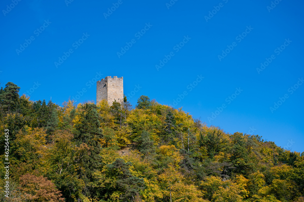 Herbstwald bei Burg Freyenstein