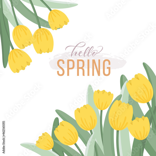 Floral background design with yellow tulips. Flat style vector illustration.