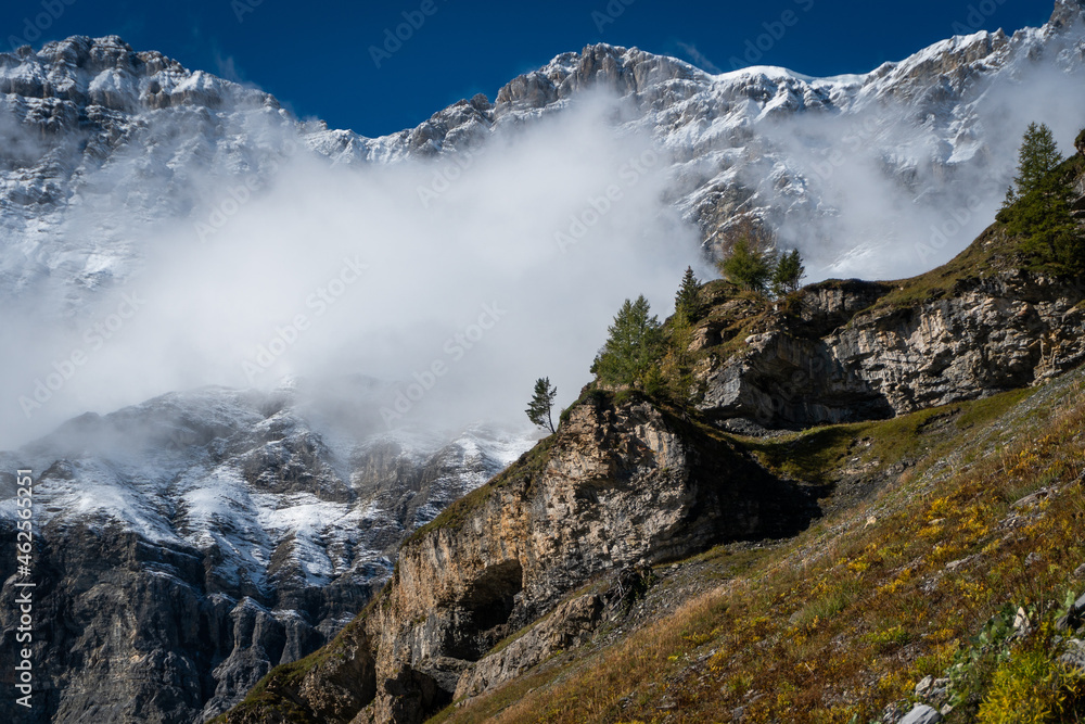 Arbre au premier plan sur un rocher devant une montagnes enneigées. Arbre au premier plan sur un rocher devant une montagnes enneigées.