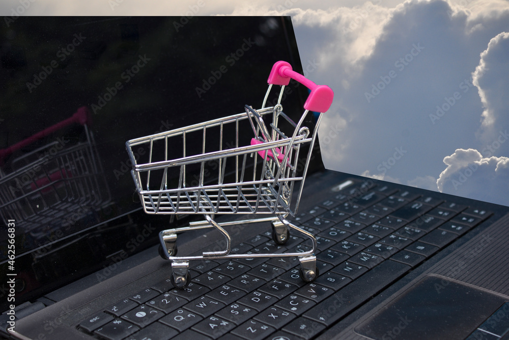 shopping cart with card