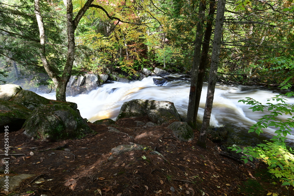 Obraz premium waterfall in the forest