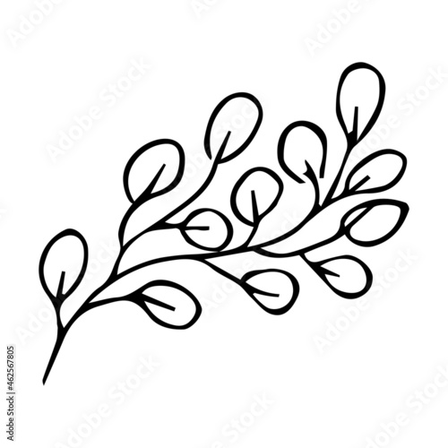 Hand drawn vector tree branch. Black herb silhouette isolated on white background. Botanical illustration for print, web, design, decor, logo.