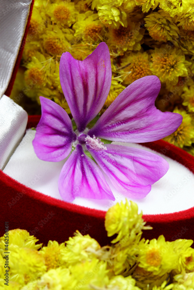 marriage concept with flowers and ring box
