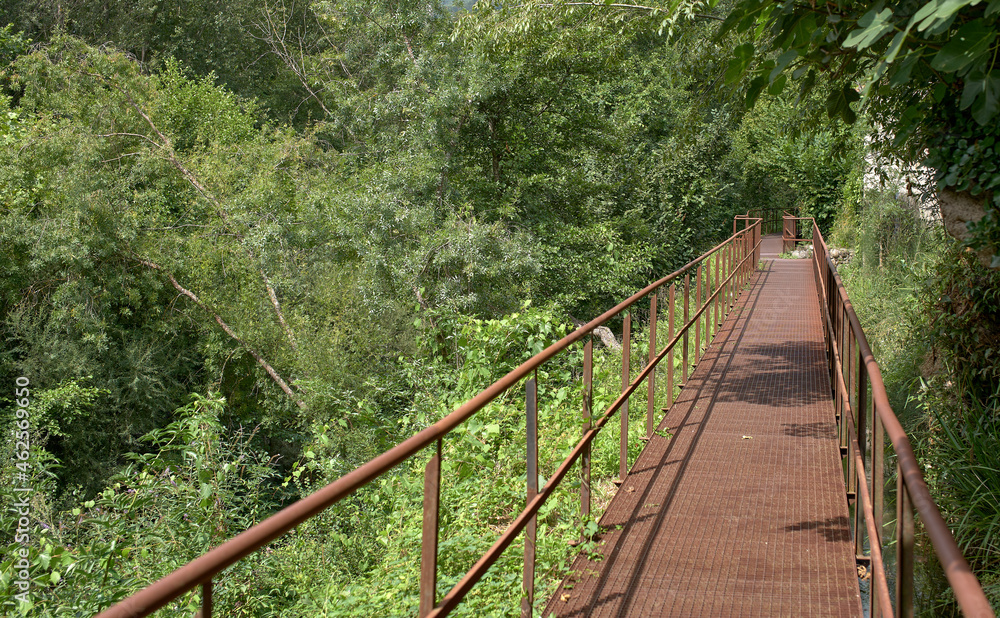 Iron walkway that goes over a river surrounded by vegetation