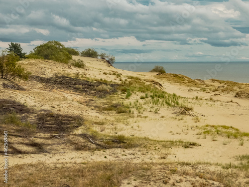 Curonian Spit is a nature reserve. Unique sand dunes on the Baltic coast.