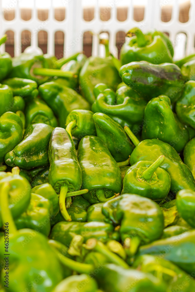 Fresh green peppers in a plastic box ready for consumption, selective focus. Fresh green peppers in a plastic box ready for consumption, selective focus.
