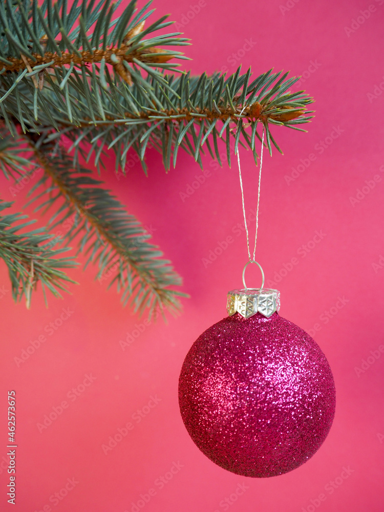 A shiny rain pink Christmas toy on a pink background is hanging on the Christmas tree . side view A shiny rain pink Christmas toy on a pink background is hanging on the Christmas tree . side view