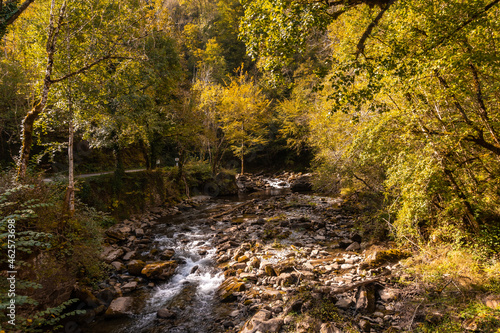 Fototapeta Naklejka Na Ścianę i Meble -  River heading to Passerelle de Holtzarte in the forest or jungle of Irati, northern Navarra in Spain and the Pyrenees-Atlantiques of France
