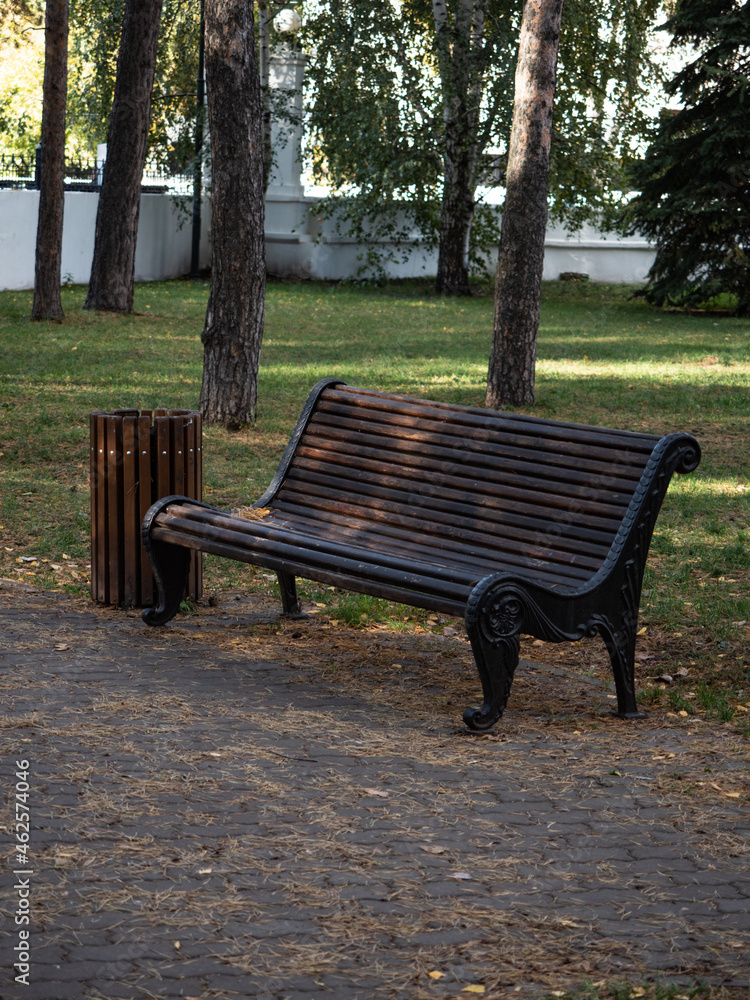 Vintage bench in dark brown color in autumn park among trees in morning light