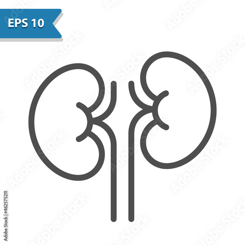 Kidneys Icon