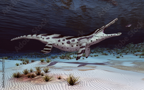 Pliosaurier Kronosaurus auf der Jagd photo