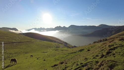 Sunrise at the top of Mount Larrau. In the forest or jungle of Irati, Pyrenees-Atlantiques of France, video 4k photo