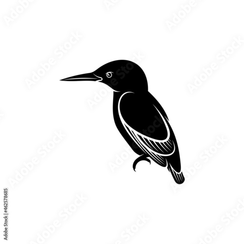 King fisher bird silhouette vector illustration design concept. creative design