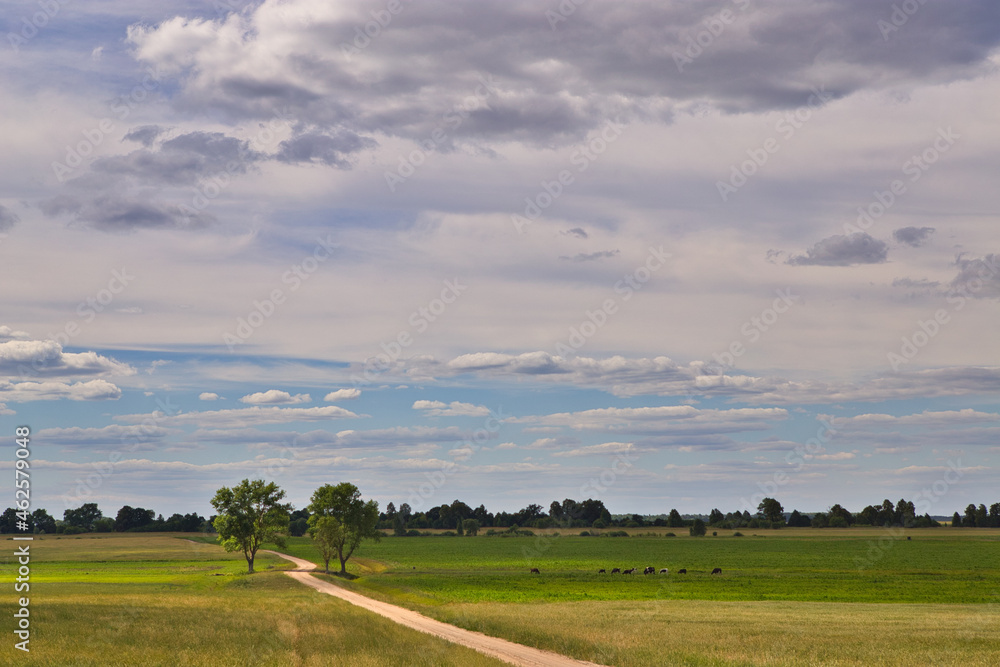 Obraz premium white clouds over a green field during the day
