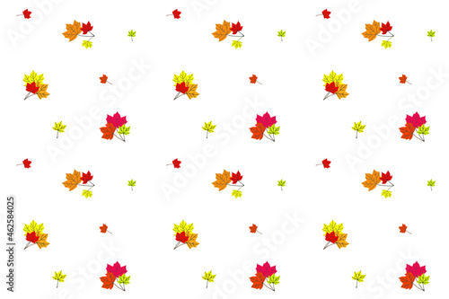 Seamless autumn vector background from colored maple leaves on white. Pattern from natural materials. Design element
