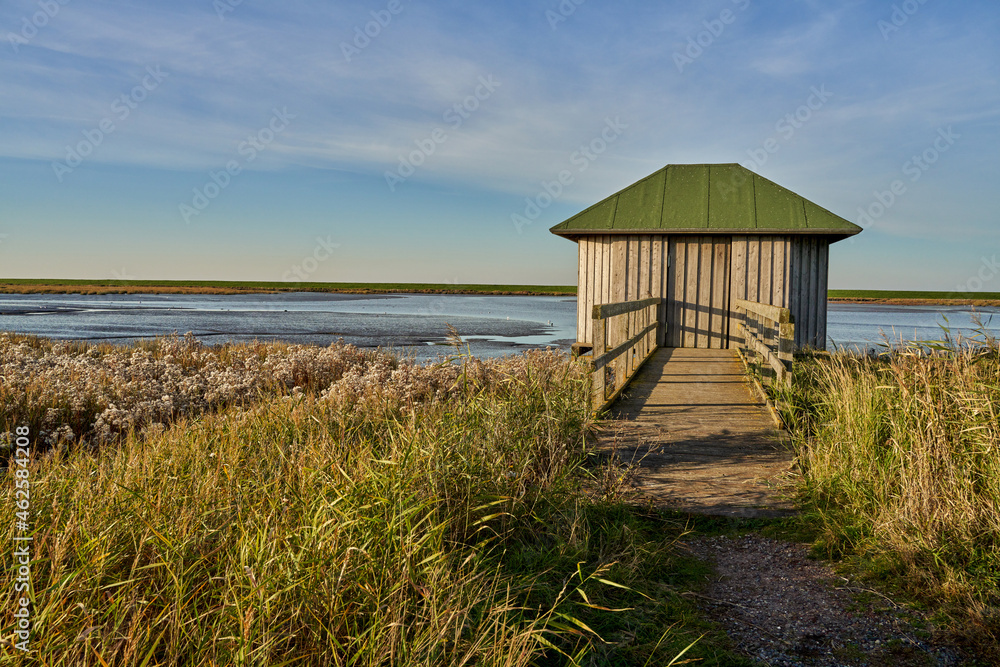 a simple wooden bird observation hut in the nature reserve Langwarder Groden (Butjadingen, Germany) on a sunny day in early autumn in front of vivid blue sky a simple wooden bird observation hut in the nature reserve Langwarder Groden (Butjadingen, Germany) on a sunny day in early autumn in front of vivid blue sky
