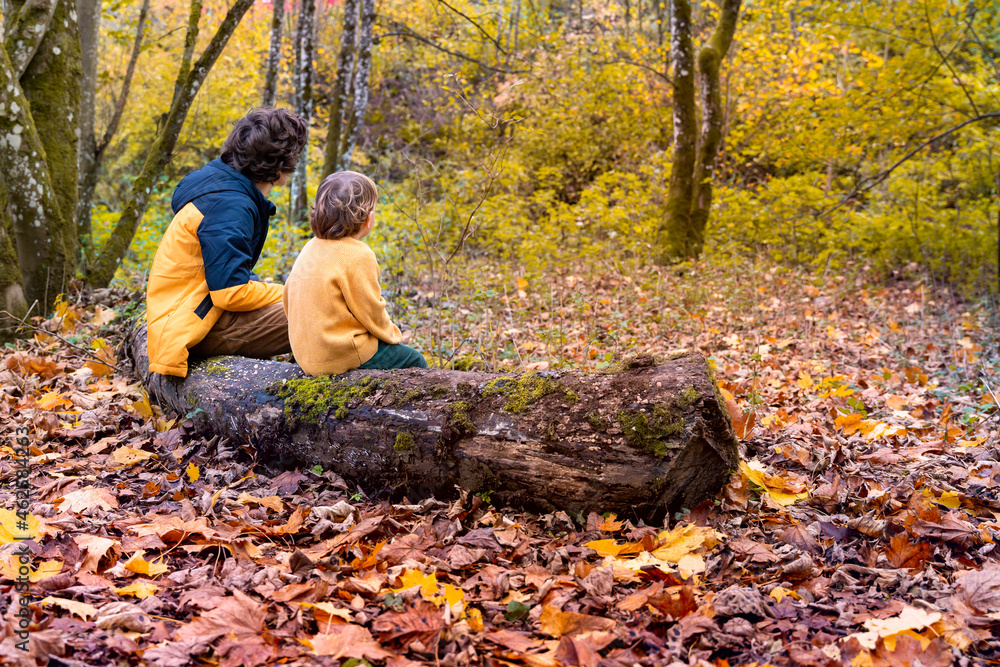 Two boys a resting, sitting on a tree trunk after a long walk in a forest in autumn. Beautiful fall in a wild park. Back view. Brothers spending time together. Two boys a resting, sitting on a tree trunk after a long walk in a forest in autumn. Beautiful fall in a wild park. Back view. Brothers spending time together.