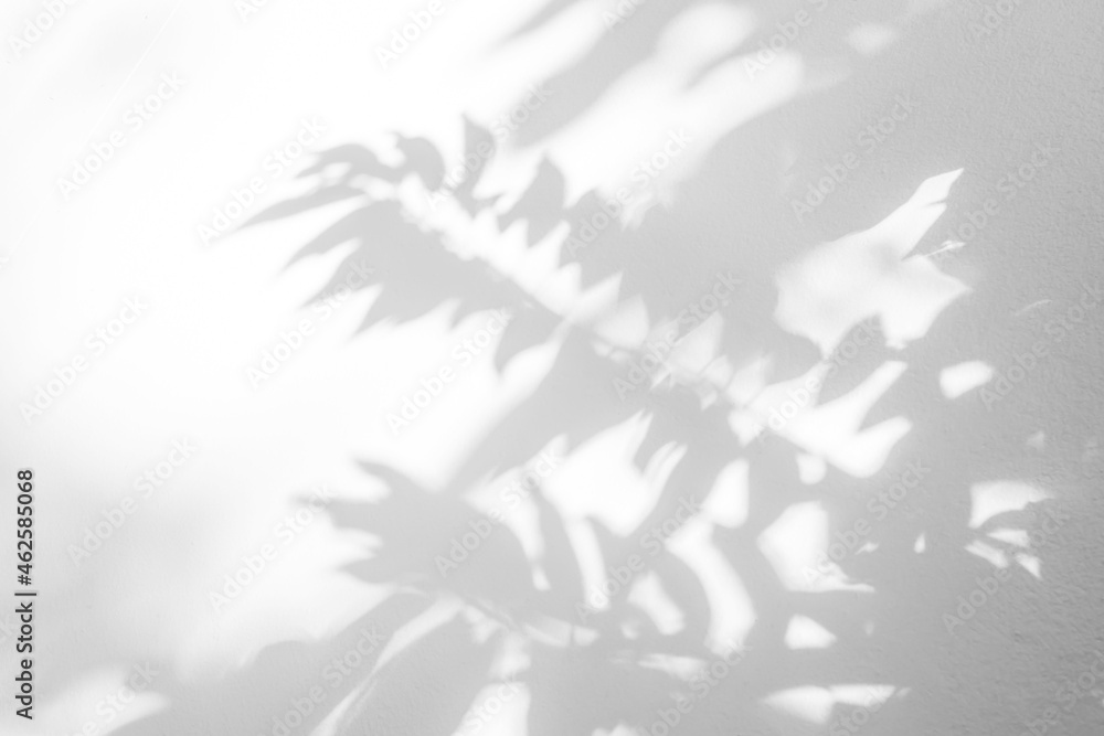 Shadow and sunshine of leaves reflection. Jungle gray darkness shade and lighting on concrete wall, shadows overlay effect, mockup and design Shadow and sunshine of leaves reflection. Jungle gray darkness shade and lighting on concrete wall, shadows overlay effect, mockup and design