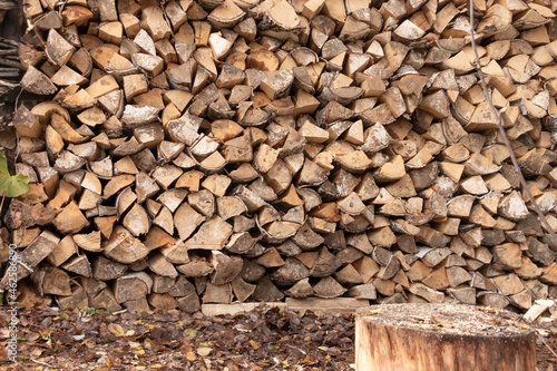 Birch and aspen firewood stacked in a woodpile. Autumn in Siberia. Preparing for winter.