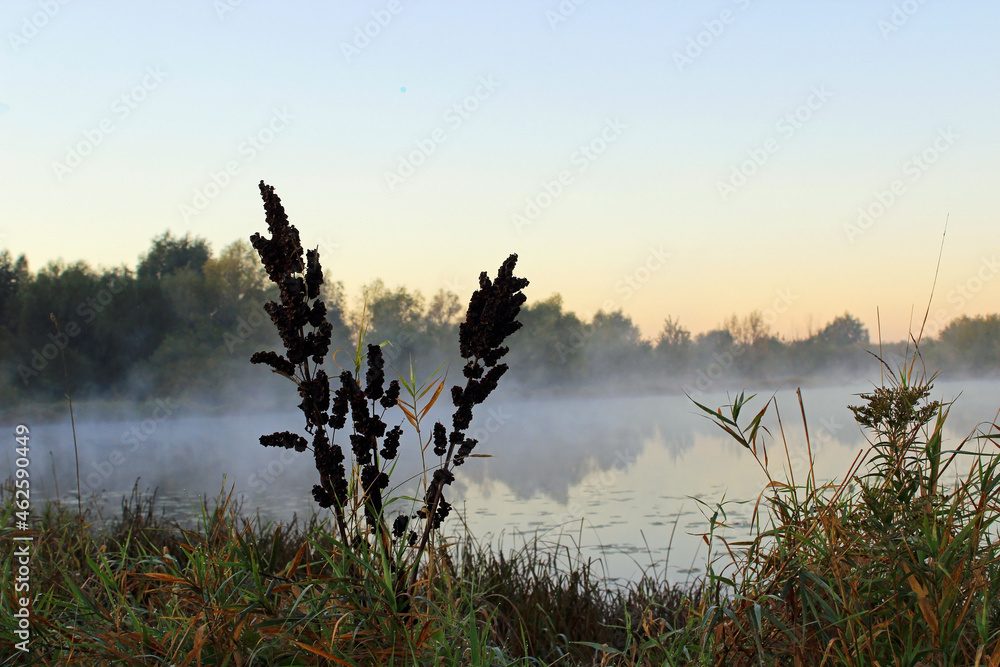 Beautiful sunrise over the water