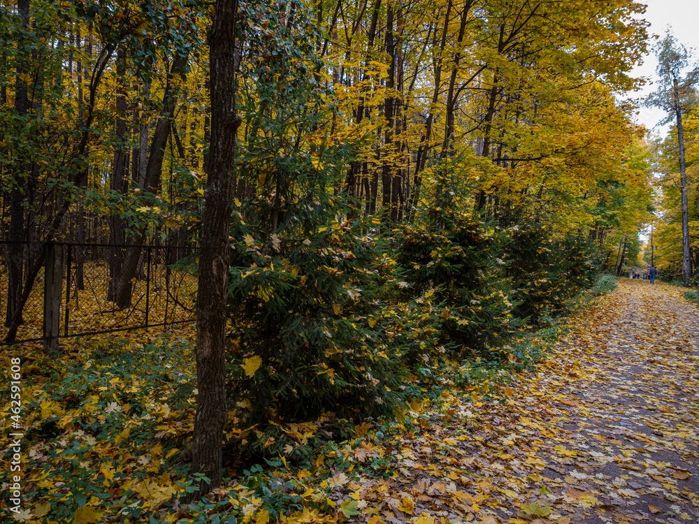 Golden Autumn in Moscow Park in October Golden Autumn in Moscow Park in October