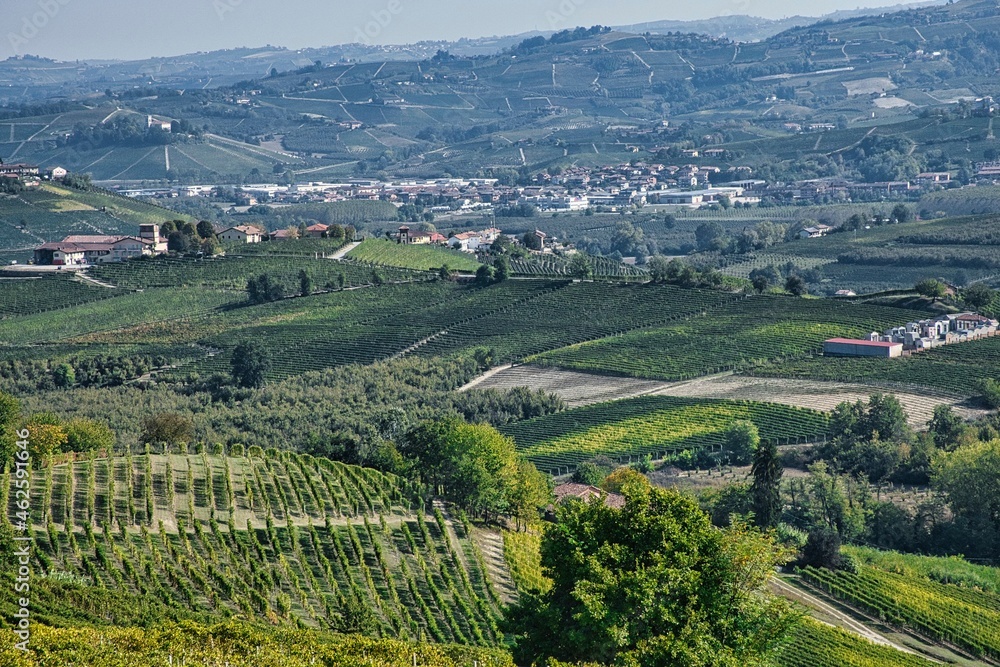 The vineyards in the Piedmontese Langhe in autumn at the time of the grape harvest