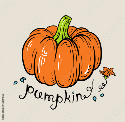 orange pumpkin with flower and seeds on gray background