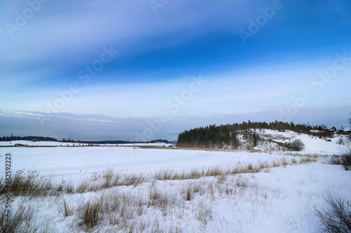 landscape with lake and trees