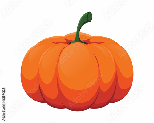 fresh pumpkin vector isolated on white background