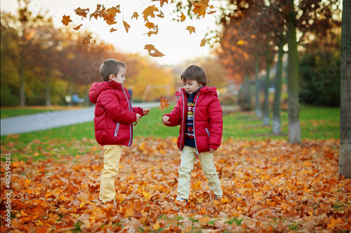 Two kids  boy brothers  playing with leaves in autumn park