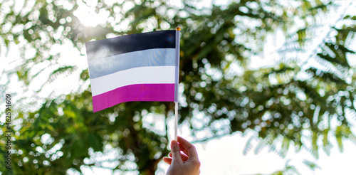 International asexual waving flag, people movement. photo