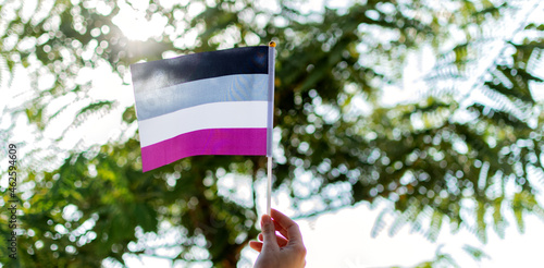 International asexual waving flag, people movement.