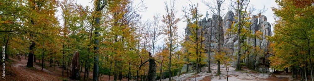 Panorama of autumn forest and rocks. Green and yellow leaves on trees. Panorama of autumn forest and rocks. Green and yellow leaves on trees.