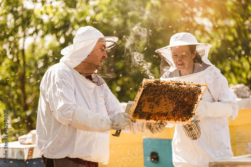 Beekeepers on apiary. Beekeepers are working with bees and beehives on the apiary. photo