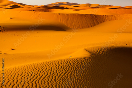 Beautiful sand dunes in the Sahara Desert in Morocco. Landscape in Africa in desert.
